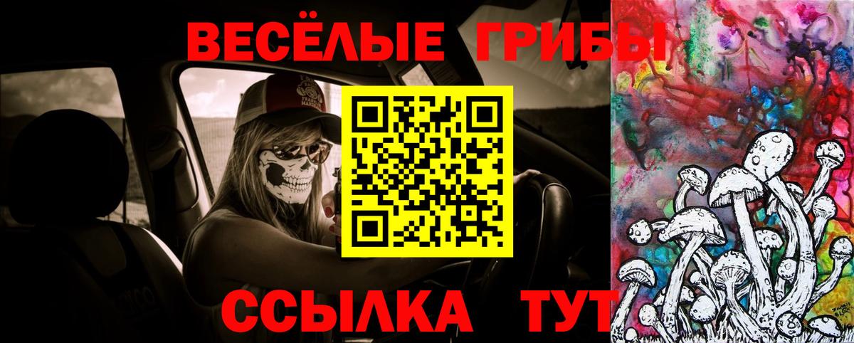 Долгопрудный  Галлюциногенные грибы Psilocybine cubensis  Вход с VPN 