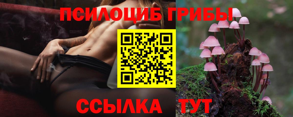 Псилоцибиновые грибы Psilocybe Долгопрудный